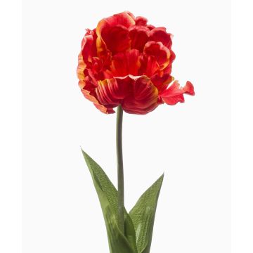 Fiore di pappagallo artificiale LIOMARA, arancione, 65 cm, Ø 9 cm Fiore di pappagallo artificiale LIOMARA, arancione, 65 cm, Ø 9 cm