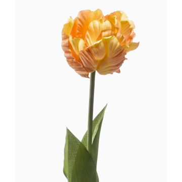 Fiore del pappagallo artificiale LIOMARA, giallo-pesca, 65 cm, Ø 9 cm Fiore del pappagallo artificiale LIOMARA, giallo-pesca, 65 cm, Ø 9 cm