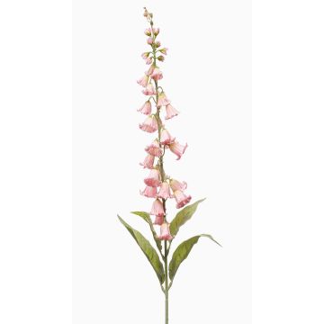 Fiore artificiale campanula NEVLAR, rosa chiaro, 95 cm, Ø 10 cm Fiore artificiale campanula NEVLAR, rosa chiaro, 95 cm, Ø 10 cm