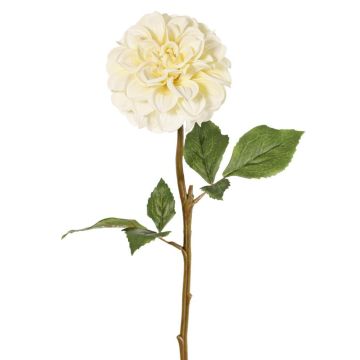 Fiore artificiale dalia BREDANA, color crema, 60 cm, Ø 11 cm