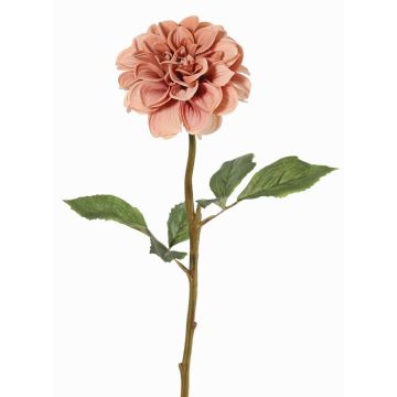 Fiore sintetico dalia BREDANA, rosa antico, 60cm, Ø11cm Fiore sintetico dalia BREDANA, rosa antico, 60cm, Ø11cm