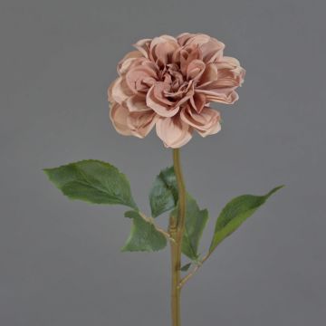 Fiore artificiale dalia BREDANA, rosa antico, 60 cm, Ø 11 cm Fiore artificiale dalia BREDANA, rosa antico, 60 cm, Ø 11 cm