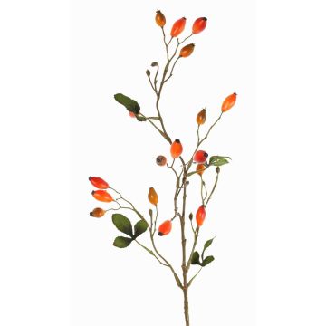 Ramo di rosa selvatica artificiale ZERBST con cinorrodi, arancione-rosso, 80cm Ramo di rosa selvatica artificiale ZERBST con cinorrodi, arancione-rosso, 80cm