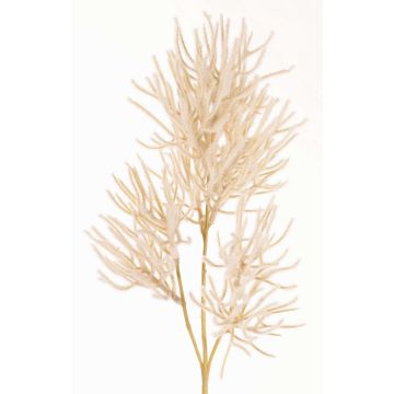 Ramo decorativo di corallo BILBAS, color crema, 70cm Ramo decorativo di corallo BILBAS, color crema, 70cm