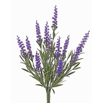 Lavanda decorativa LUSIE, su stelo, crossdoor, viola, 35 cm Lavanda decorativa LUSIE, su stelo, crossdoor, viola, 35 cm