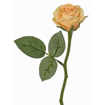 Fiore sintetico rosa GABI, pesca-crema, 30cm, Ø6cm Fiore sintetico rosa GABI, pesca-crema, 30cm, Ø6cm