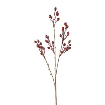 Ramo artificiale di rosa selvatica FRIMTE con cinorrodi, rosso bordeaux, 55 cm Ramo artificiale di rosa selvatica FRIMTE con cinorrodi, rosso bordeaux, 55 cm