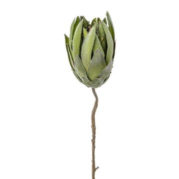 Cuscino porta spilli protea artificiale LINDAR, verde, 70 cm Cuscino porta spilli protea artificiale LINDAR, verde, 70 cm