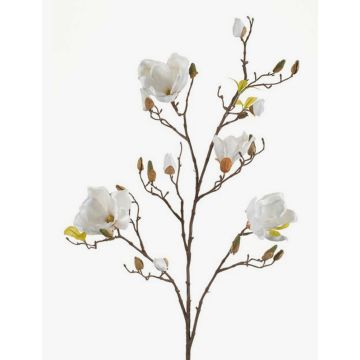 Magnolia artificiale LILO, crema, 110cm, Ø5-9cm