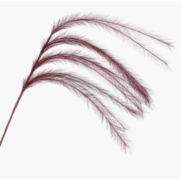 Ramo decorativo di erba piumata con pannocchie LUMINIA, rosso bordeaux, 135 cm Ramo decorativo di erba piumata con pannocchie LUMINIA, rosso bordeaux, 135 cm