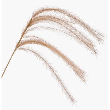 Ramo decorativo di erba piumata a pannocchia LUMINIA, beige, 135 cm Ramo decorativo di erba piumata a pannocchia LUMINIA, beige, 135 cm