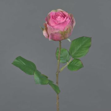 Fiore decorativo artificiale rosa POPI, rosa-verde, 55 cm, Ø 7 cm Fiore decorativo artificiale rosa POPI, rosa-verde, 55 cm, Ø 7 cm