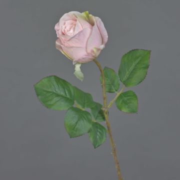 Fiore decorativo artificiale rosa POPI, rosa tenue, 55 cm, Ø 7 cm