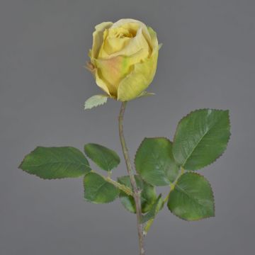 Fiore artificiale decorativo POPI, giallo-verde-rosa, 55 cm, Ø 7 cm Fiore artificiale decorativo POPI, giallo-verde-rosa, 55 cm, Ø 7 cm