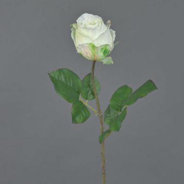 Fiore artificiale decorativo POPI, bianco-verde, 55 cm, Ø 7 cm
