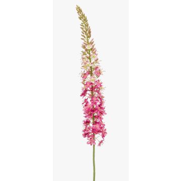Fiore artificiale grande "Candela della steppa" NITTI, rosa shocking, 130 cm Fiore artificiale grande "Candela della steppa" NITTI, rosa shocking, 130 cm
