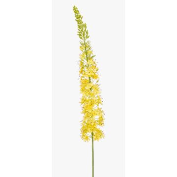 Fiore artificiale grande "candela della steppa" NITTI, giallo, 130 cm Fiore artificiale grande "candela della steppa" NITTI, giallo, 130 cm