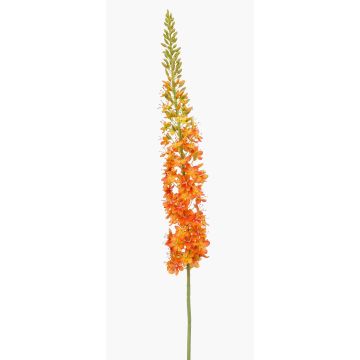 Fiore artificiale grande candela della steppa NITTI, arancione, 130 cm Fiore artificiale grande candela della steppa NITTI, arancione, 130 cm