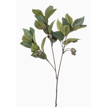Ramo artificiale di eucalipto VIZIMIR con frutti, verde, 80 cm Ramo artificiale di eucalipto VIZIMIR con frutti, verde, 80 cm