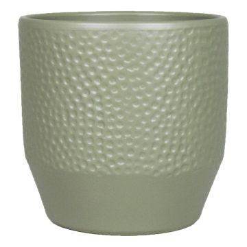 Vaso da piante BIHAM, ceramica, motivo martellato, verde oliva opaco, 13,2cm, Ø13,5cm Vaso da piante BIHAM, ceramica, motivo martellato, verde oliva opaco, 13,2cm, Ø13,5cm