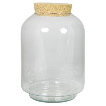 Terrario in vetro KONDO con coperchio in sughero, trasparente, 25 cm, Ø17 cm