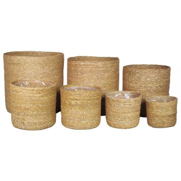 Cestino di erba marina AMPARO, 7 pezzi, beige, 12-30cm, Ø13-32cm Cestino di erba marina AMPARO, 7 pezzi, beige, 12-30cm, Ø13-32cm