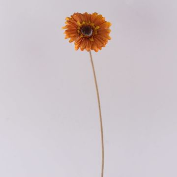 Fiore decorativo Gerbera TUNGUSKA, effetto secco, arancione, 55 cm, Ø 11 cm Fiore decorativo Gerbera TUNGUSKA, effetto secco, arancione, 55 cm, Ø 11 cm