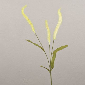 Ramo di liriope artificiale JELIKANTA con pannocchie, verde crema, 60 cm Ramo di liriope artificiale JELIKANTA con pannocchie, verde crema, 60 cm