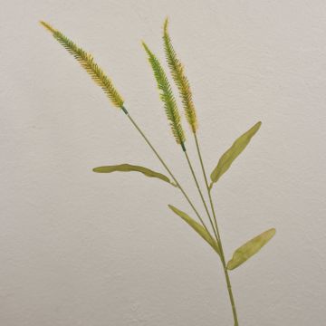 Ramo di liriope in erba sintetica JELIKANTA con pannocchie, verde-marrone, 60 cm Ramo di liriope in erba sintetica JELIKANTA con pannocchie, verde-marrone, 60 cm