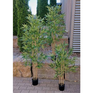 Albero artificiale di bambù SEUMAS, tronchi naturali, 120 cm Albero artificiale di bambù SEUMAS, tronchi naturali, 120 cm