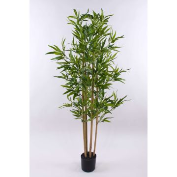 Albero artificiale di bambù SEUMAS, tronchi naturali, 150cm Albero artificiale di bambù SEUMAS, tronchi naturali, 150cm