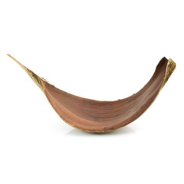 XXL foglia di cocco CHIPUNA, marrone, 30-120cm