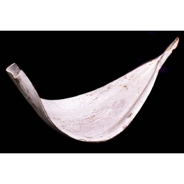 XXL foglia di cocco CHIPUNA, imbiancata di bianco, 30-80 cm