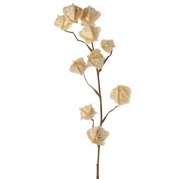 Ramo di physalis artificiale AINOS, frutti, glitter, color crema, 80cm