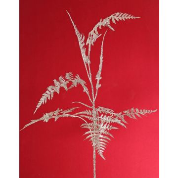Ramo artificiale di Asparagus plumosus GIONA, argento, 85 cm