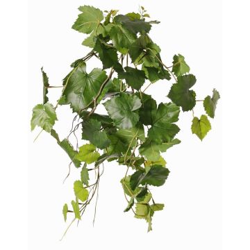 Vite decorativa FODELE, crossdoor, asta, verde, 60cm Vite decorativa FODELE, crossdoor, asta, verde, 60cm