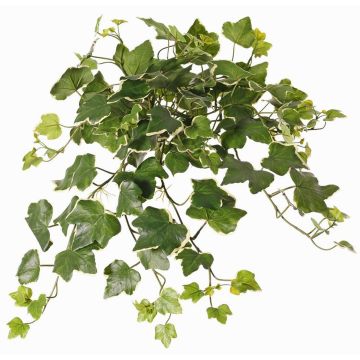 Edera artificiale da appendere ARJANA, asta, crossdoor, verde-bianco, 50cm