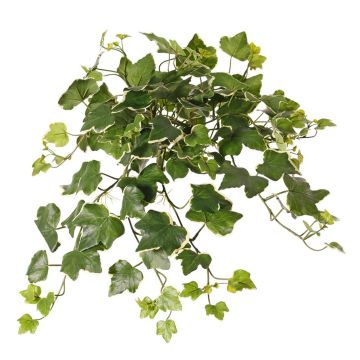 Edera artificiale da appendere ARJANA, asta, crossdoor, verde-bianco, 50cm Edera artificiale da appendere ARJANA, asta, crossdoor, verde-bianco, 50cm
