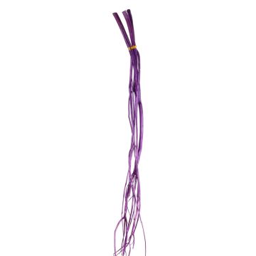 Rami decorativi Mitsumata GERY, 3 pezzi, essiccati, viola, 105 cm