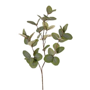 Ramo artificiale di eucalipto EMMENDA, verde, 80 cm Ramo artificiale di eucalipto EMMENDA, verde, 80 cm