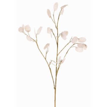 Ramo artificiale di Lunaria KONIA, color crema, 95cm Ramo artificiale di Lunaria KONIA, color crema, 95cm