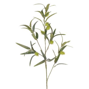 Ramo artificiale di euforbia a palloncino TASMIN, frutti, verde, 95 cm