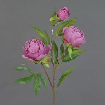 Ramo artificiale di peonia MANJA, viola, 70 cm, Ø 8-10 cm Ramo artificiale di peonia MANJA, viola, 70 cm, Ø 8-10 cm