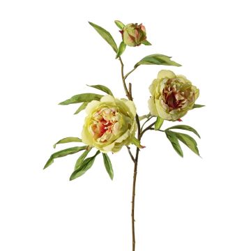 Ramo artificiale di peonia MANJA, verde-rosa, 70 cm, Ø 8-10 cm Ramo artificiale di peonia MANJA, verde-rosa, 70 cm, Ø 8-10 cm
