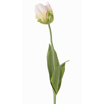 Fiore in tessuto tulipano pappagallo UAKARI, bianco-verde, 65cm, Ø6cm