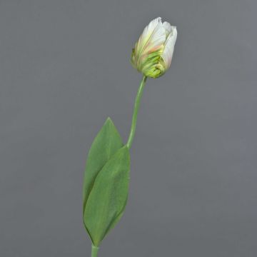 Fiore in tessuto tulipano pappagallo UAKARI, bianco-verde, 65 cm, Ø 6 cm Fiore in tessuto tulipano pappagallo UAKARI, bianco-verde, 65 cm, Ø 6 cm