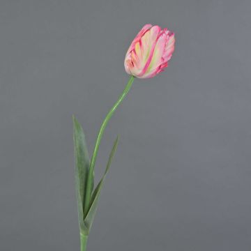Fiore in tessuto tulipano pappagallo UAKARI, rosa-crema-verde, 65 cm, Ø 6 cm
