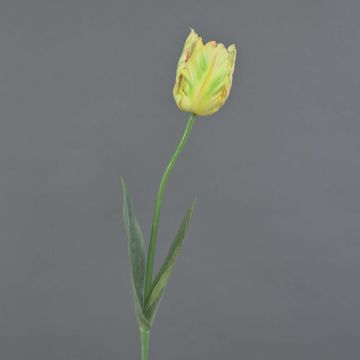 Fiore in tessuto Tulipano pappagallo UAKARI, giallo-verde-rosa, 65 cm, Ø 6 cm Fiore in tessuto Tulipano pappagallo UAKARI, giallo-verde-rosa, 65 cm, Ø 6 cm