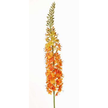 Candela della steppa artificiale SELINA, arancione, 130 cm, Ø 9 cm Candela della steppa artificiale SELINA, arancione, 130 cm, Ø 9 cm