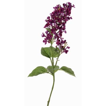Ramo artificiale di lillà ADMIR, viola scuro, 80cm, Ø6-9cm